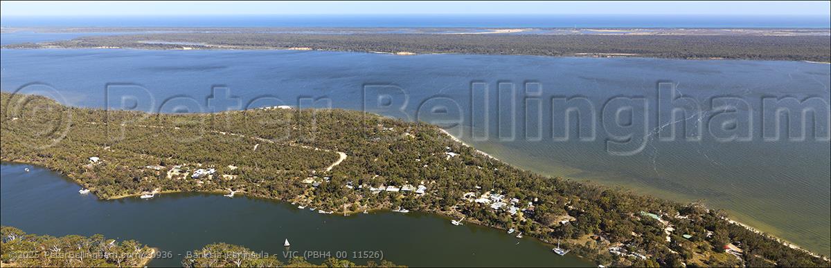 Peter Bellingham Photography Banksia Peninsula - VIC (PBH4 00 11526)